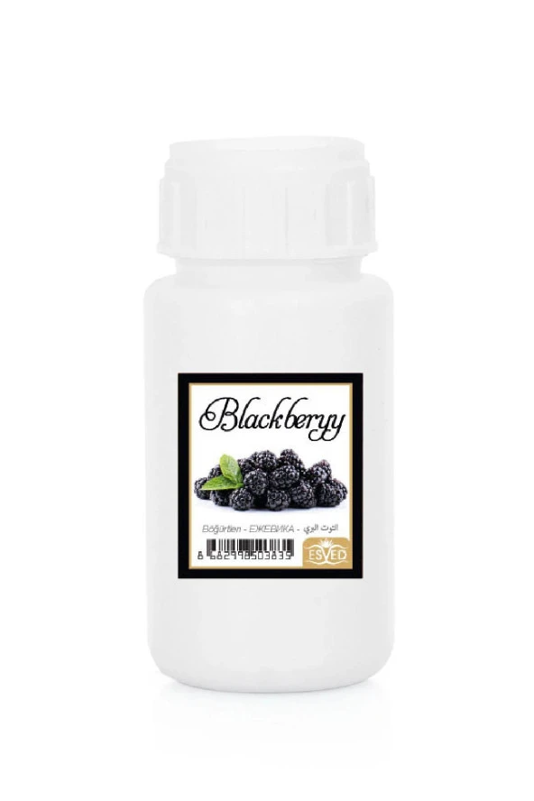 Böğürtlen Kokusu Çubuklu Koku Bambu Kokusu Yedek Dolum Şişesi 100Ml