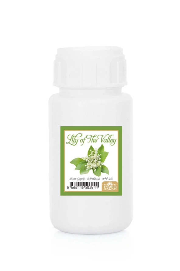 Müğe Çiçeği Kokusu Çubuklu Koku Bambu Kokusu Yedek Dolum Şişesi 100Ml