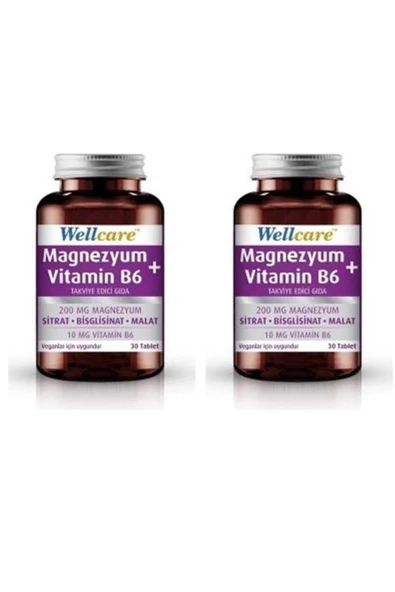 Wellcare Magnezyum + Vitamin B6 30 Tablet 2 Kutu