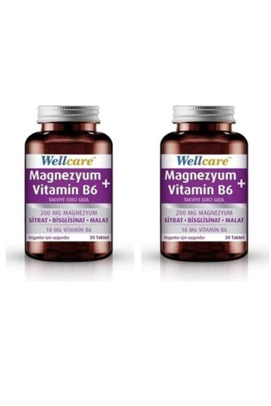 Wellcare Magnezyum + Vitamin B6 30 Tablet 2 Kutu