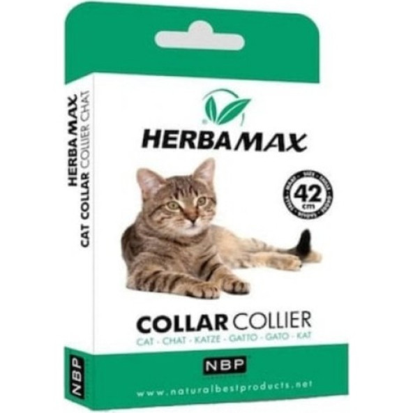Herba Max Kedi Pires Tasması 42 cm - 3