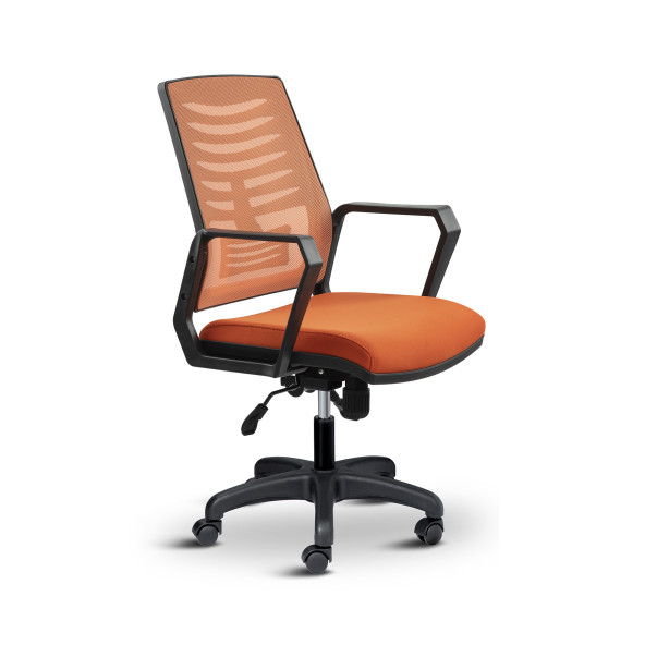 Asbir Mobilya Metis Plus Çalışma Koltuğu Ofis Sandalyesi Bilgisayar Koltuğu - 2