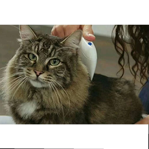 Kedi Köpek Pire Temizleyici Pire Tarağı Flea Doctor - 2