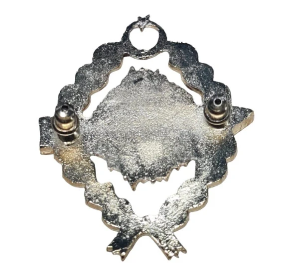 Sürveyan Harici Bröve - Resim 2