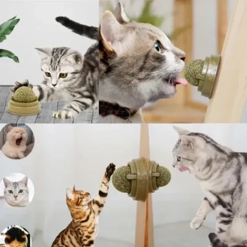Periboia Kedi Nanesi Oyun Topu