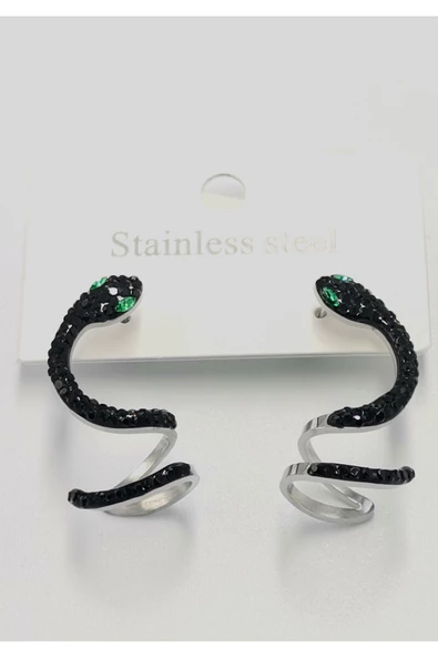 Yılan Motifli Çelik Küpe ürün görseli 1