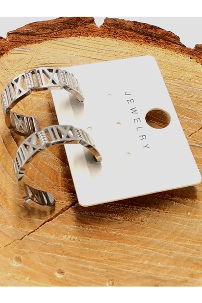 Çelik Lüks Tasarım Taşlı Küpe ürün görseli 1