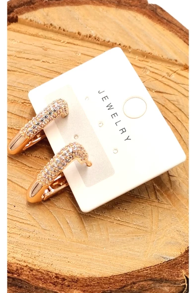 Çelik Lüks Tasarım Taşlı Küpe ürün görseli 1