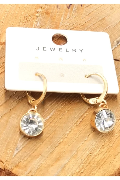 Zirkon Taşlı Lüks Tasarım Küpe ürün görseli 1