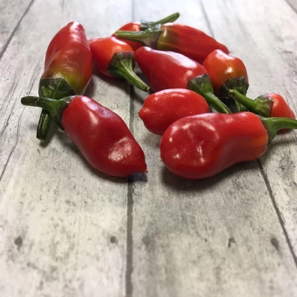 Jigsaw Pepper Tohumu (15 tohum) ürün görseli