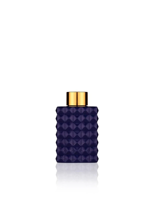 Lelas 1831 Navy Reed Difüzör 150 ML Ortam Kokusu 8681124618313