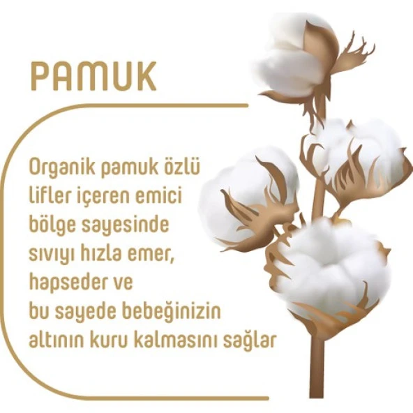 Pure Baby Organik Pamuklu Cırtlı Bez 3'lü Paket 4 Numara Maxi 144 Adet - Resim 3