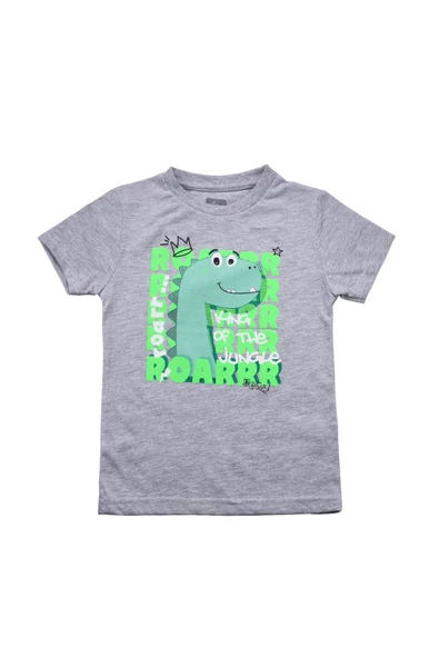 Sevimli Dinozar Baskılı Erkek Bebek Tshirt Gri