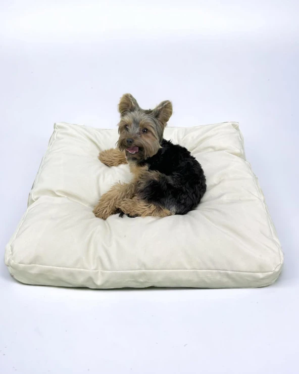 Blanc Blanc Kedi Köpek Minderi Yatağı - 2