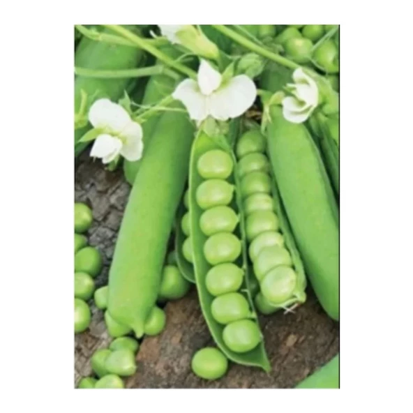 Bursa Tohum Araka Kürül Bezelye 100 gr