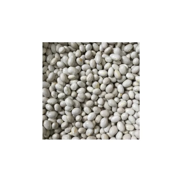 Şeker Fasulye Oturak 100 gr - 2