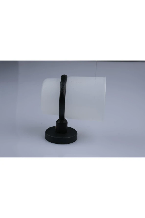 Lotus Mat Siyah Eko Diş Fırçalık Plastik Tabak Ister Yapıştır Ister Montajla - Resim 3