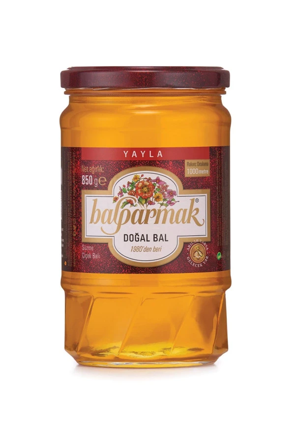 BALPARMAK Yayla Çiçek Balı 850 G