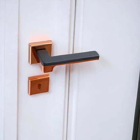 Funda Lüx Rose Mat Siyah Oda Kapı Kolu Rozetli Sürgülü Çelik Kapı Sağa Sola Uygun Kapı Kolları Kulpu - 7