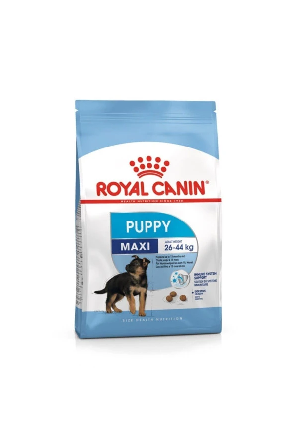 Royal Canin Shn Maxi Junior Büyük Irk Yavru Köpek Maması 15 kg