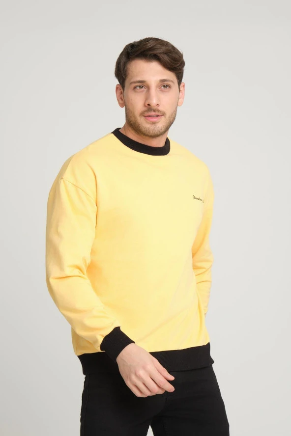 BİSİKLET YAKA SWEATHIRT (E23-0020) - Resim 2