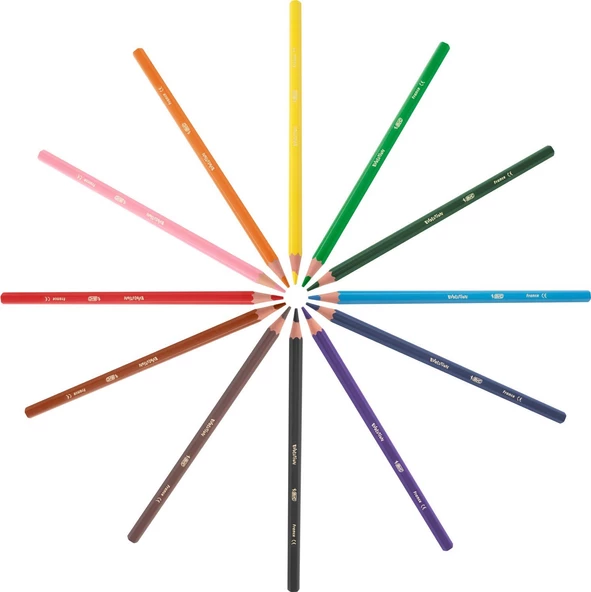 Bic Kids Evolution Kuru Boya 12'Li Metal Kutu - 3