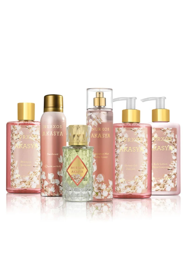 Nurxos 9858 Akasya 6 Parça Kadın Büyük Çanta Koleksiyonu 8681124598582 - 2