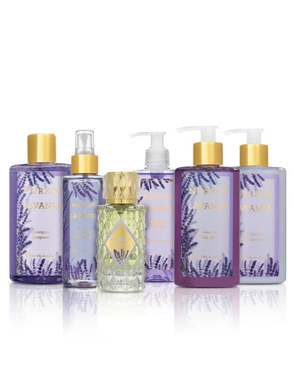 Nurxos  9863 Lavanta 6 Parça Kadın Küçük Çanta Koleksiyonu 8681124698636 - 2