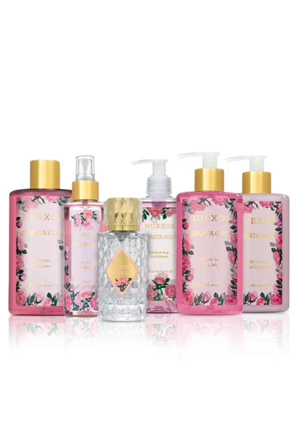 Nurxos 9864 Isparta Gülü 6 Parça Kadın Küçük Çanta Koleksiyonu 8681124698 - 2