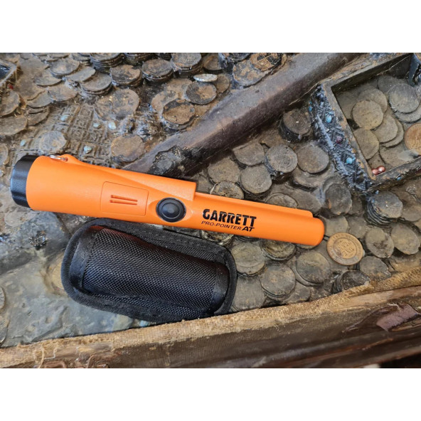 Garrett Pro Pointer AT