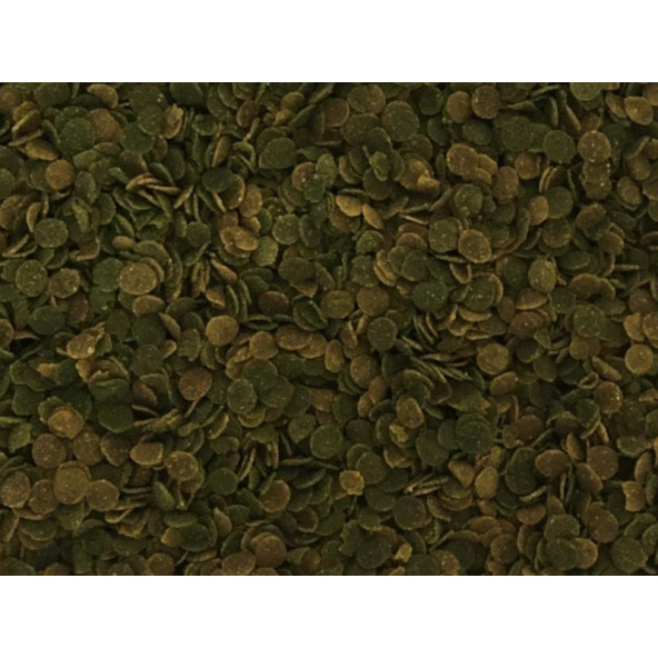 Bonisa Cichlid Algae 3 Kg Kova, Amore Veggie Garlic Pro 420gr, Lotus 100ml Spirulina Garlic Balık Yemi - 4