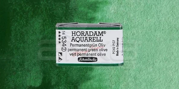 Schmincke Horadam Aquarell 1/1 Tablet 534 Permanent Green Olive seri 2 ürün görseli 1