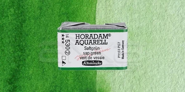 Schmincke Horadam Aquarell 1/1 Tablet 530 Sap Green seri 2