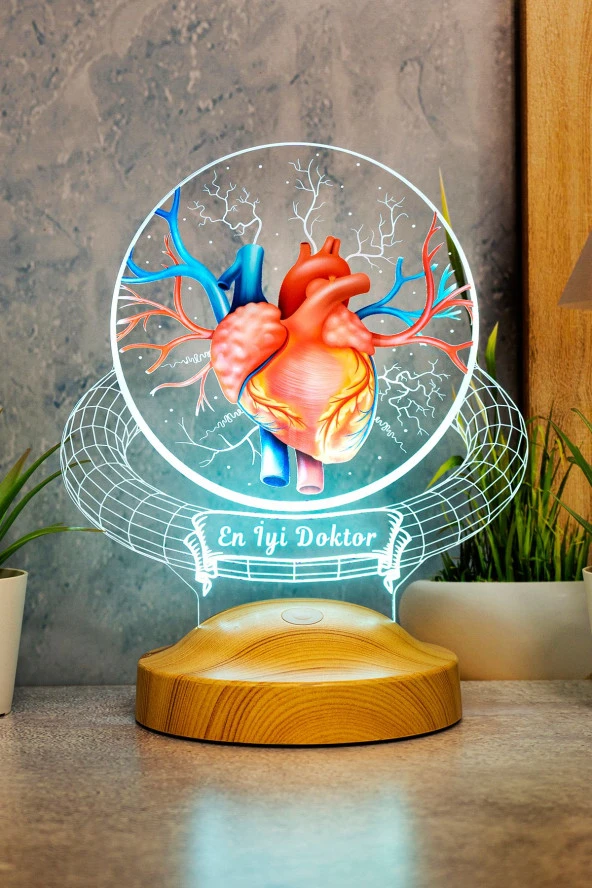 SEVGİ LAMBASI Doktor Hediyesi Kalp Ve Damar Tasarımlı Led Lamba, Tıp Bayramı Hediyesi Renkli Masa Lambası - 3