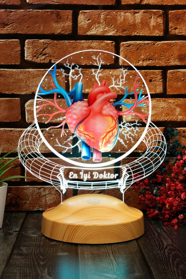 SEVGİ LAMBASI Doktor Hediyesi Kalp Ve Damar Tasarımlı Led Lamba, Tıp Bayramı Hediyesi Renkli Masa Lambası - 4