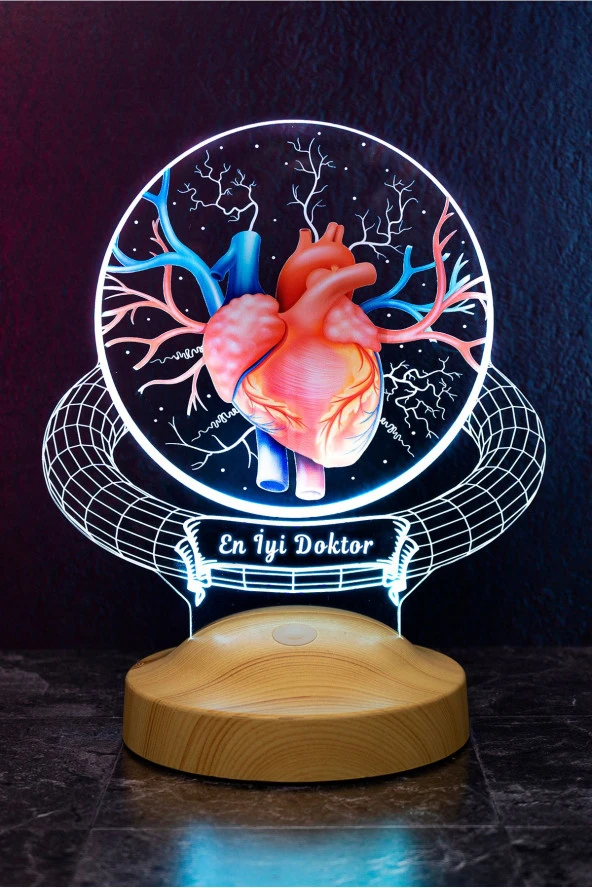 SEVGİ LAMBASI Doktor Hediyesi Kalp Ve Damar Tasarımlı Led Lamba, Tıp Bayramı Hediyesi Renkli Masa Lambası - 2