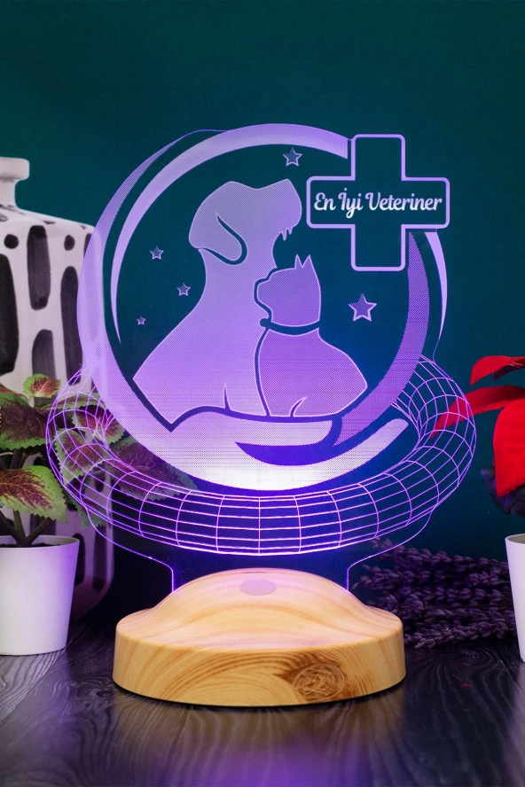 SEVGİ LAMBASI Dünya Veteriner Hekimler Günü Hediyesi, Veteriner Hekim Hediyesi, Veteriner Doktor 3d Led Lamba - 5