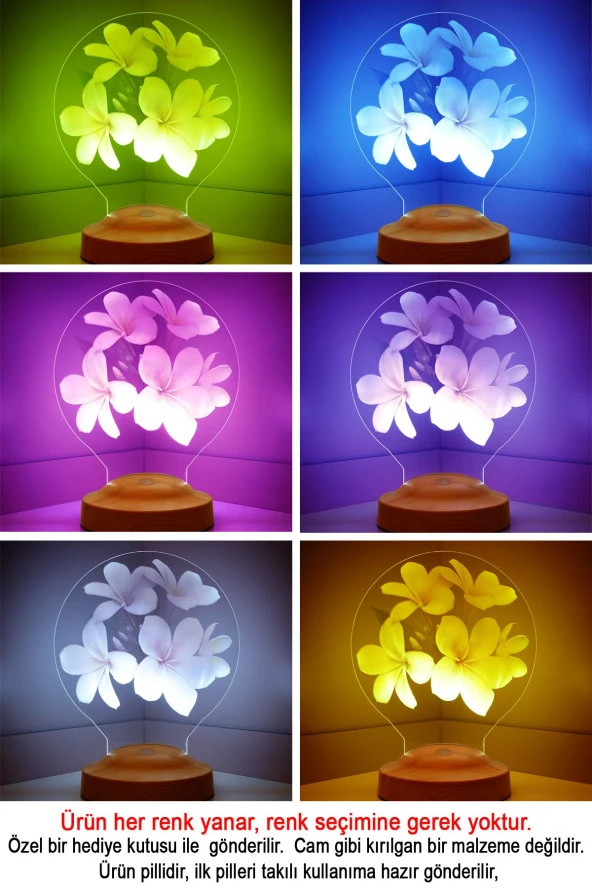 SEVGİ LAMBASI Çiçek Figürlü, Plumeria Çiçeği Hediyesi 3d Led Lamba, Gece Lambası