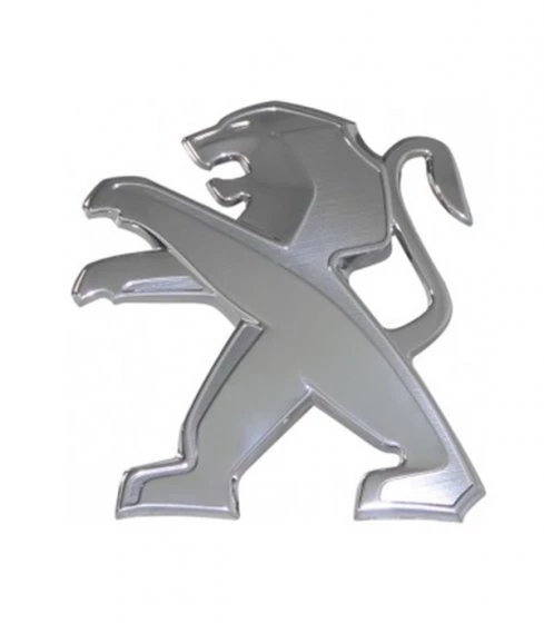 Peugeot 307 (SW), Bagaj Arma OEM (7810.H6)