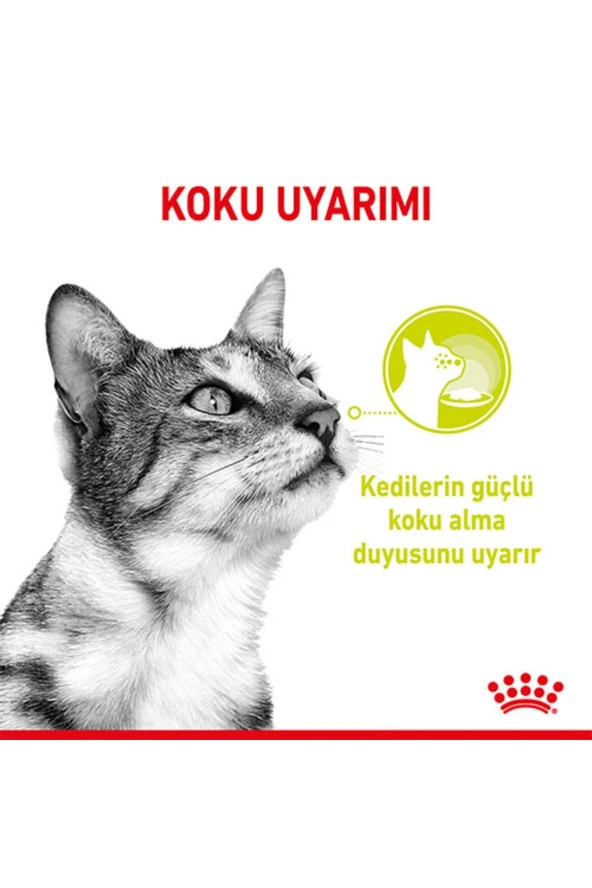 Royal Canin Sensory Smell in Gravy Adult Kedi Konservesi 85 Gr - 3