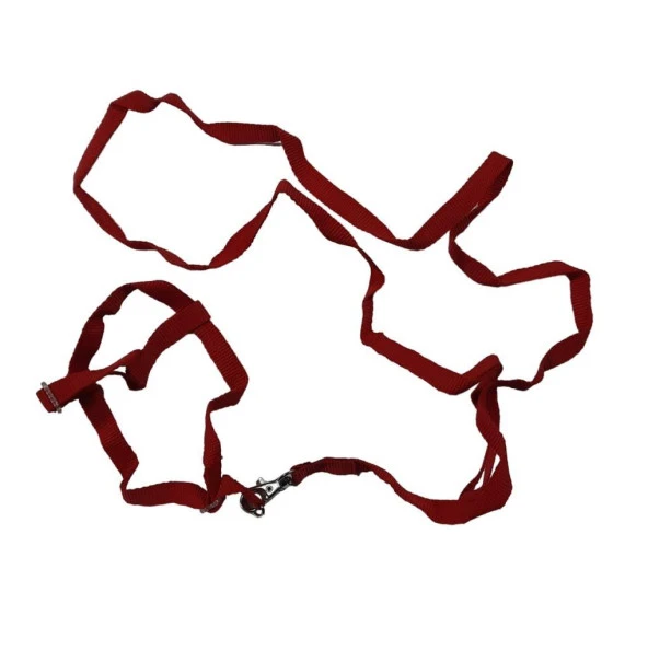 Pati Premium Ayarlanır Kuş Gezdirme Tasması Kırmızı