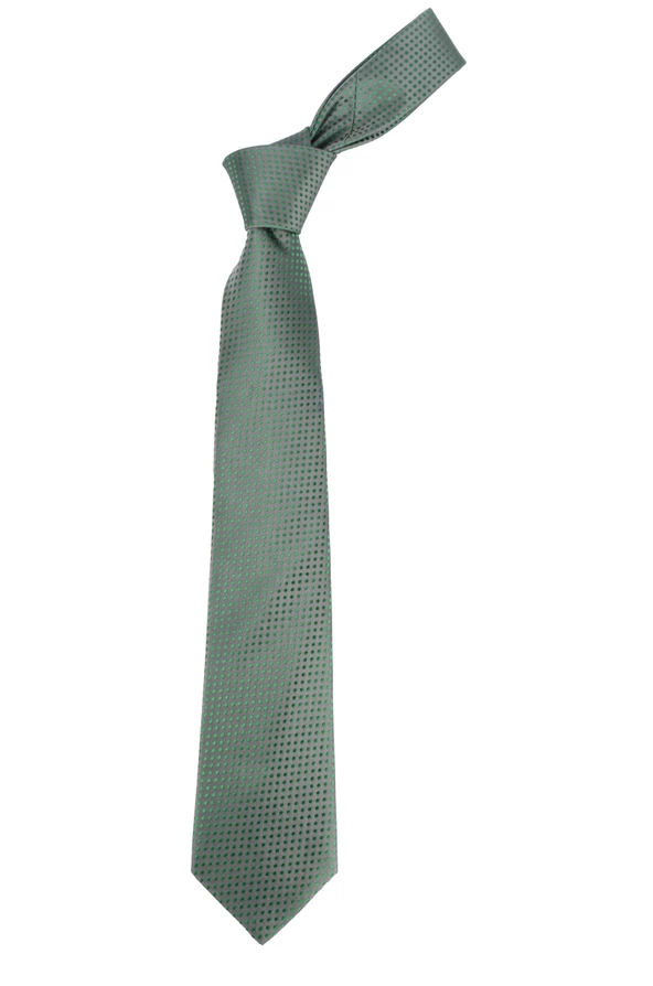 Cengiz İnler Puantiye Desenli Mendilli Mikrofiber Erkek Kravat - 2