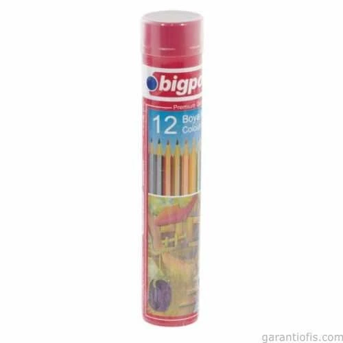 BİGPOİNT BP 941 Metal Tüp Tam Boy Kuru Boya (12 Renk) - 1
