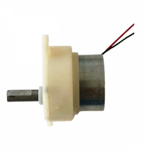 2 Adet Kuluçka Makinesi Mini Viyol Çevirme Motoru 12 Volt - 2