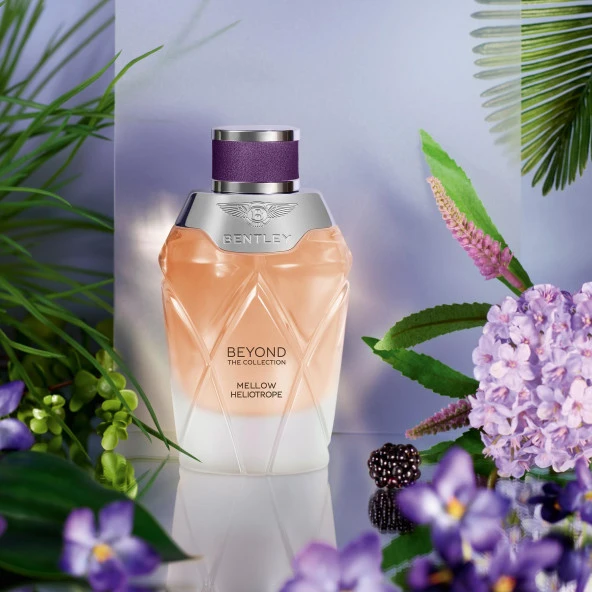 Bentley Mellow Heliotrope EDP 100 ml Kadın Parfümü - Resim 3