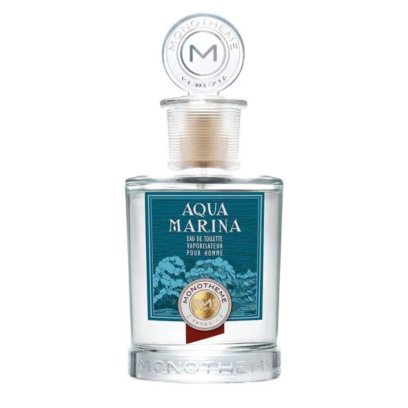 Monotheme Classic Aqua Marina Pour Homme EDT 100 ml Erkek Parfümü ürün görseli 1