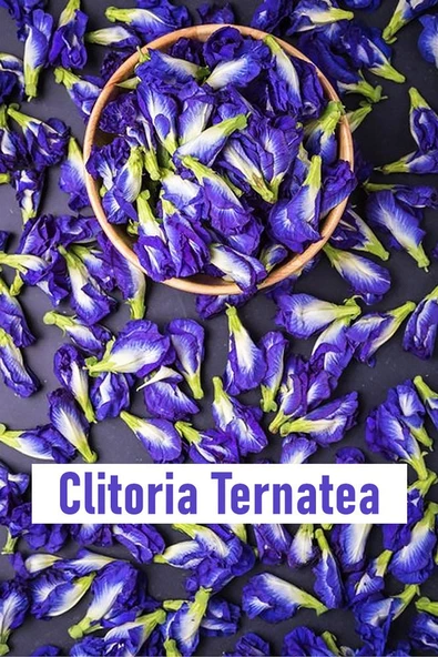 Mavi Kelebek Çayı - Butterfly Pea - Vakumlu Paket 50 gr - 3