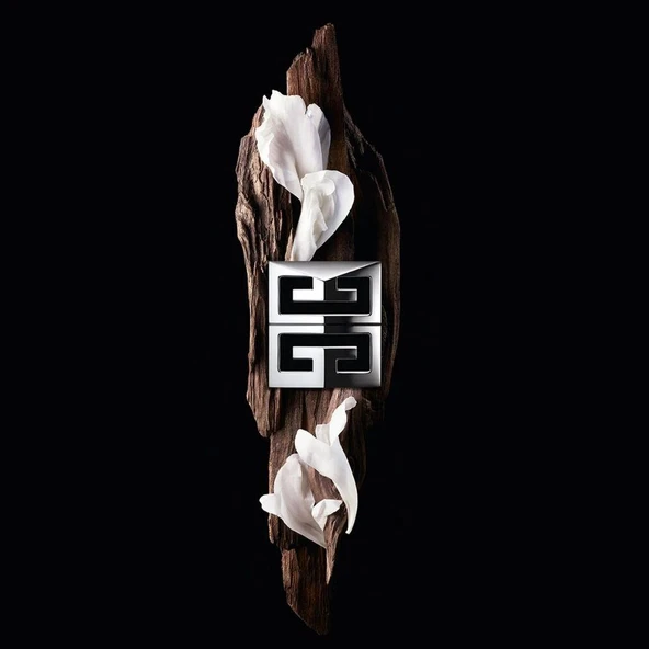 Givenchy Gentleman Society Deodorant Stick 75 ml Erkek - 3