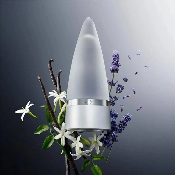 Rochas Man EDT 100 ml Erkek Parfümü - Resim 4