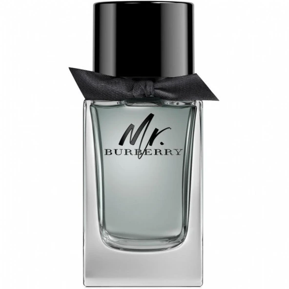 Burberry Mr. Burberry EDT 100 ml Erkek Parfümü